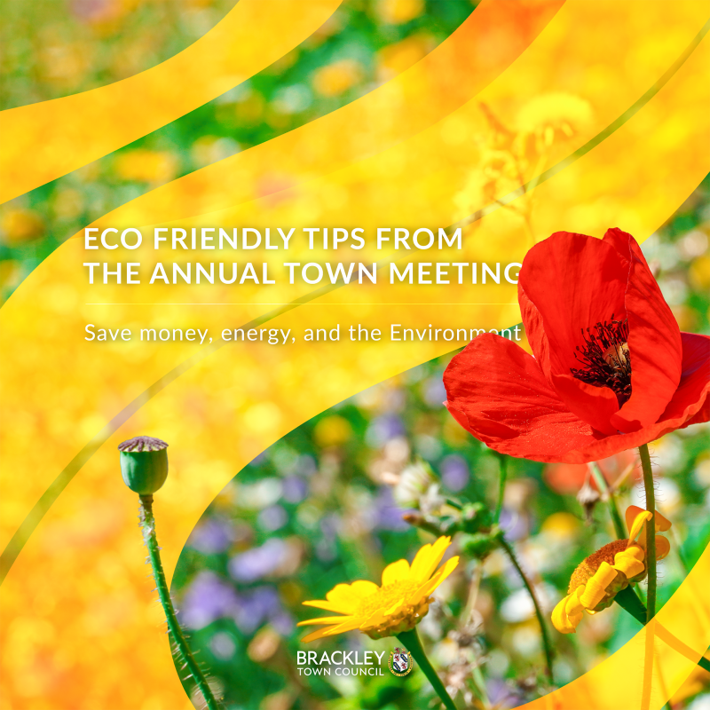 Title image of flowers with yellow graphics in the background reading 'Eco friendly tips from the annual town meeting, save money, energy and the envi