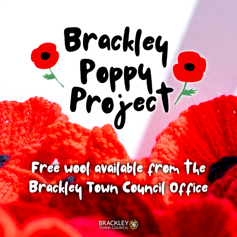 Graphic promoting the Brackley Poppy Project. The image features red knitted poppies and balls of red wool, with illustrated poppies at the top. Text 