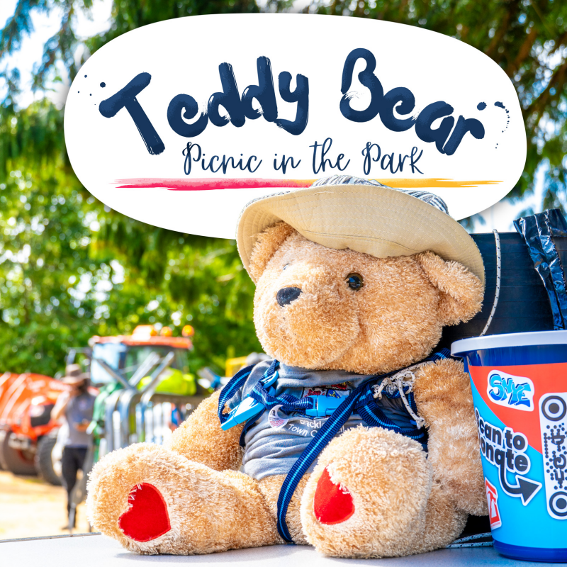 Photo of a teddy bear wearing a harness sat on a table next to a donation bucket, with text behind